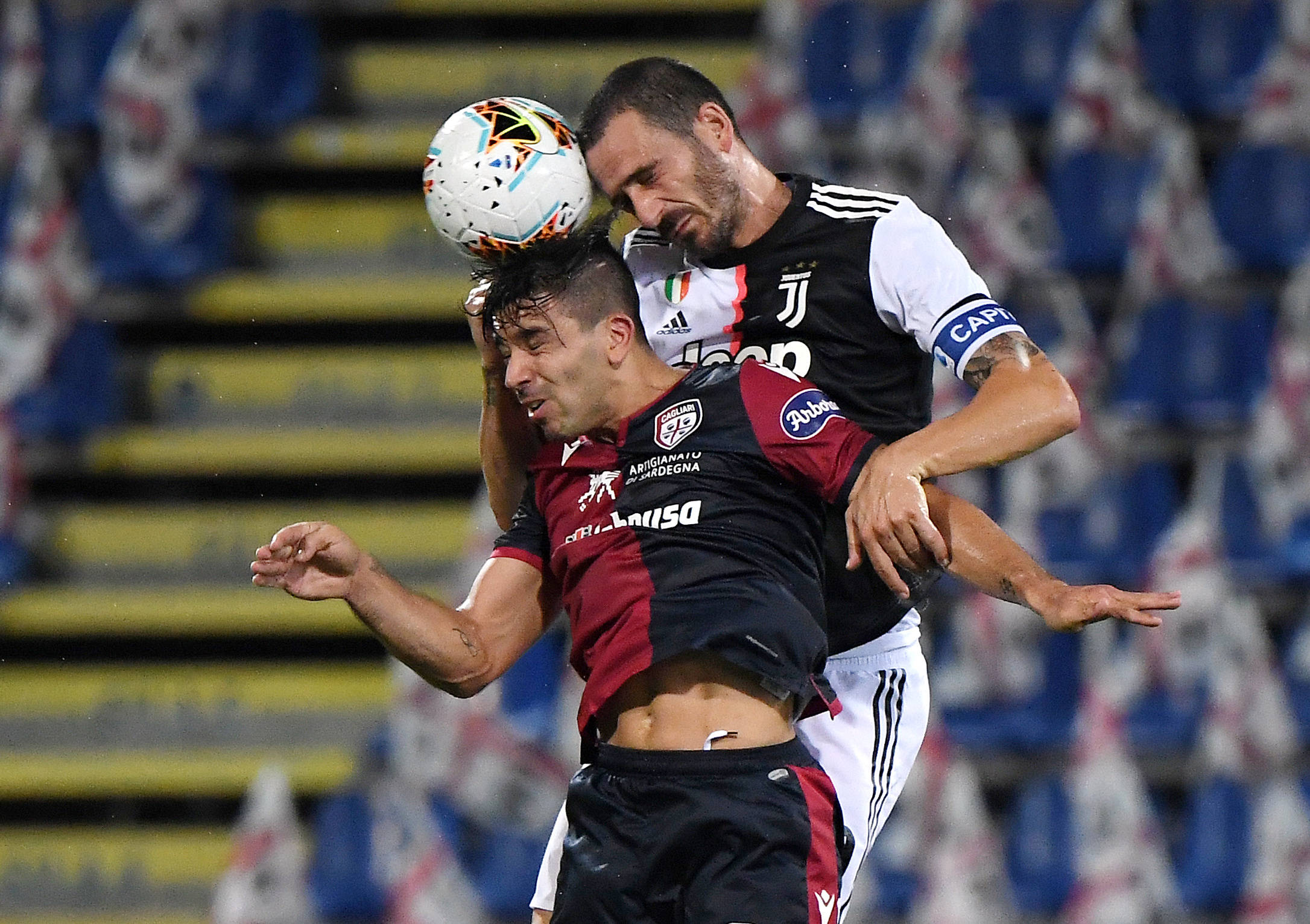 体育法官的 体育法官的